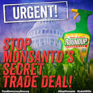 Stop_Monsanto19