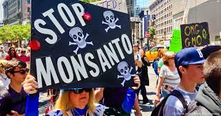 Stop_Monsanto24